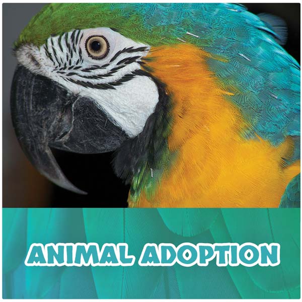 Donate To The Buffalo Zoo