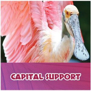 Capital Fund