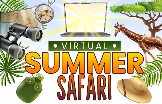 Summer Safari