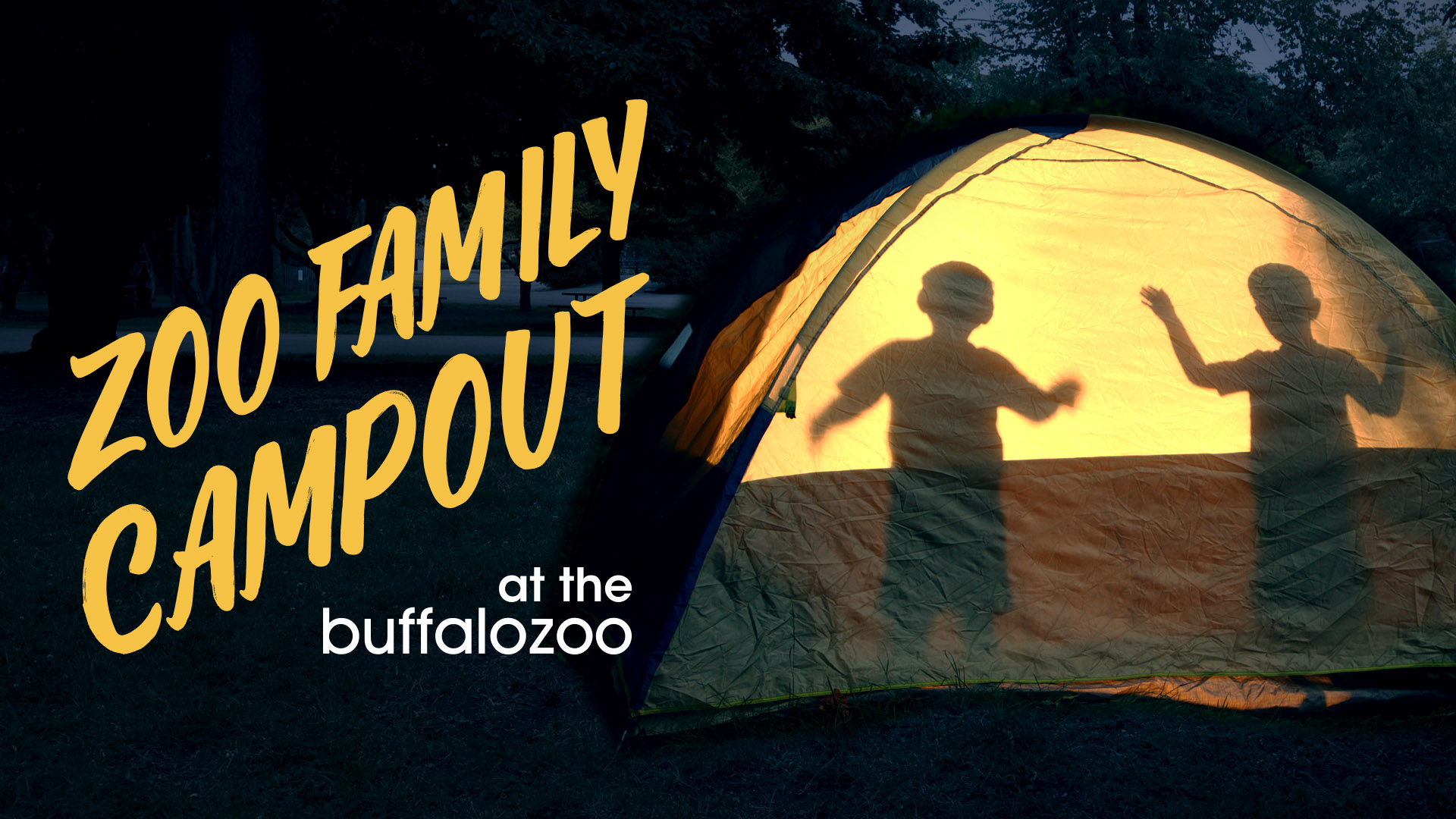 Zoo Family Campout - Buffalo Zoo