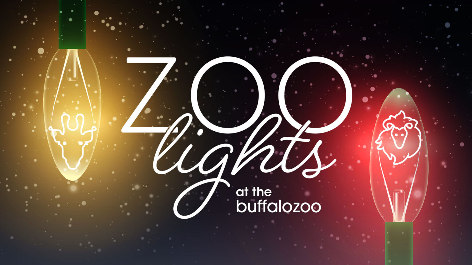 Zoo Lights at the Buffalo Zoo Buffalo Zoo
