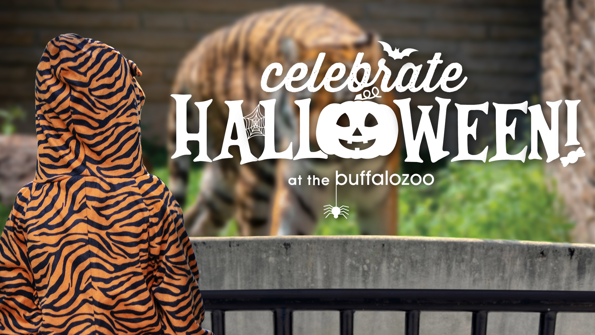 Celebrate Halloween! at the Buffalo Zoo Buffalo Zoo