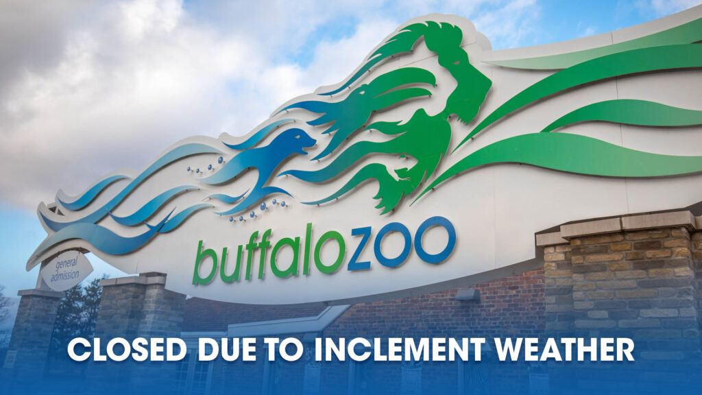 Member’s Family Fun Night at the Buffalo Zoo Buffalo Zoo