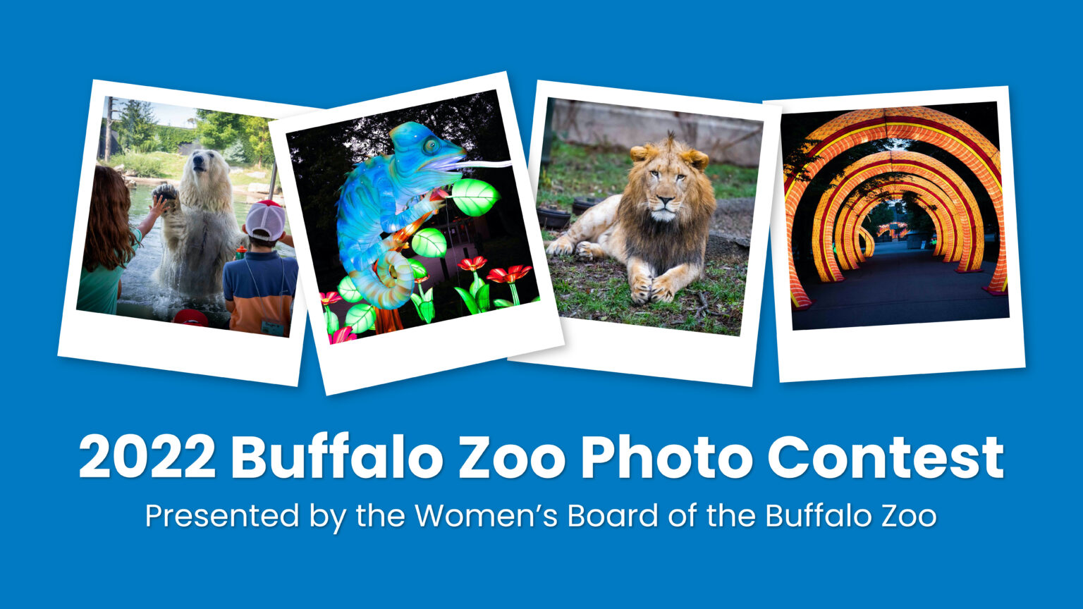 2022 Buffalo Zoo Photo Contest Buffalo Zoo