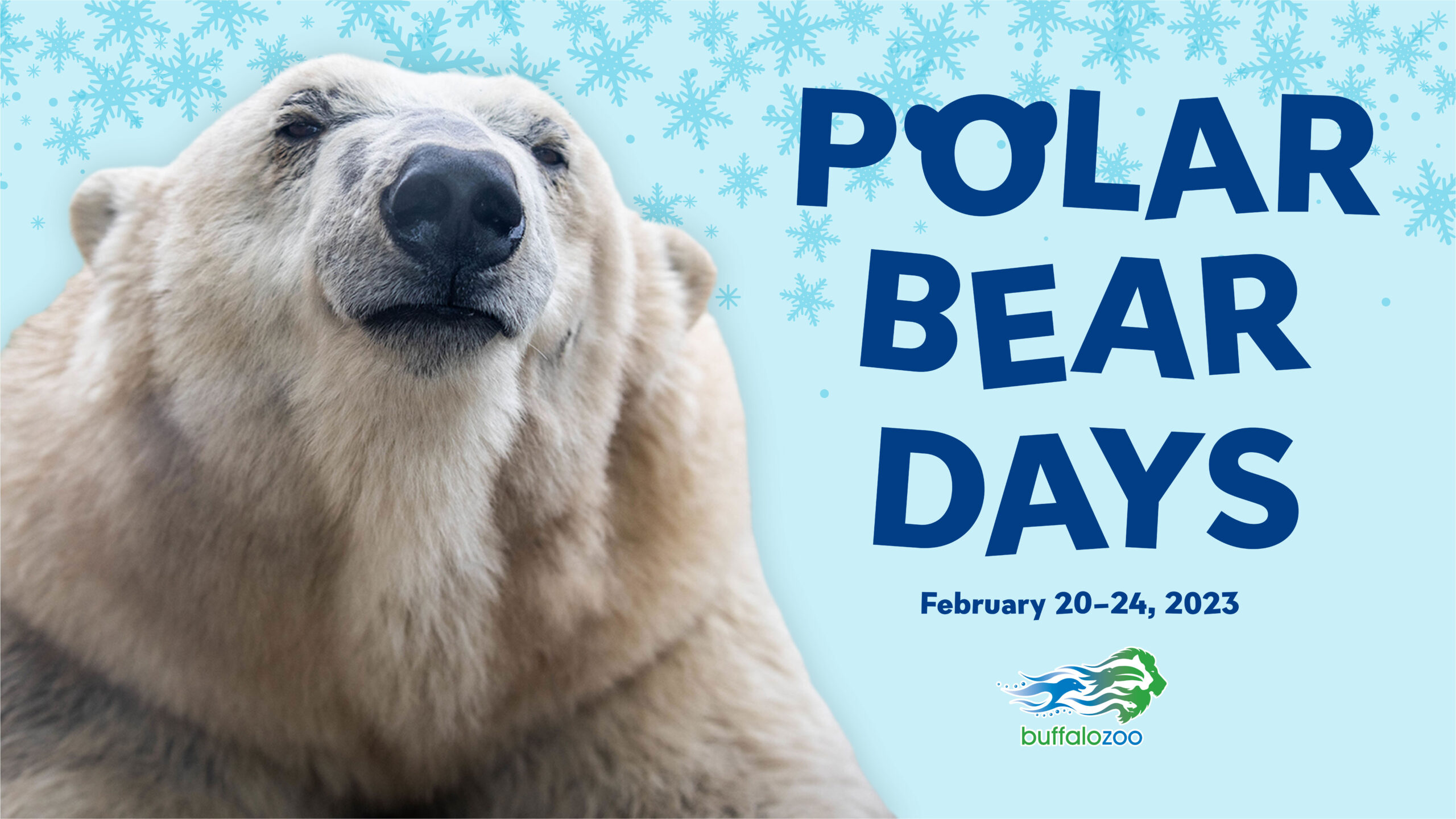 PolarBearDays 1920x1080 Scaled 