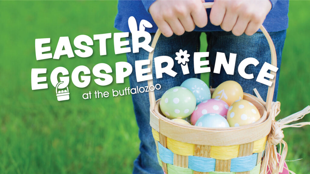 Easter Eggsperience at the Buffalo Zoo 2023 - Buffalo Zoo