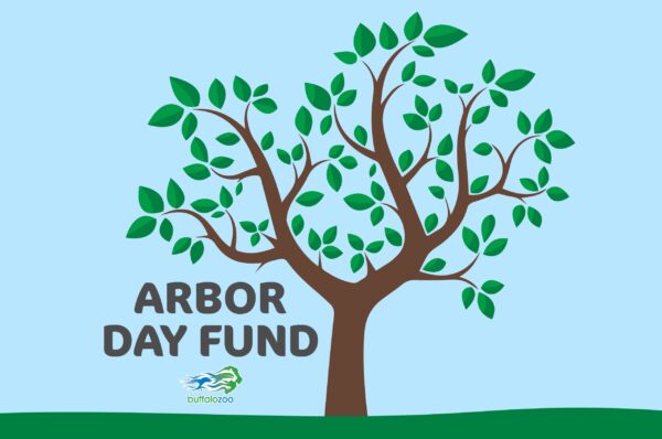 Arbor Day Fund