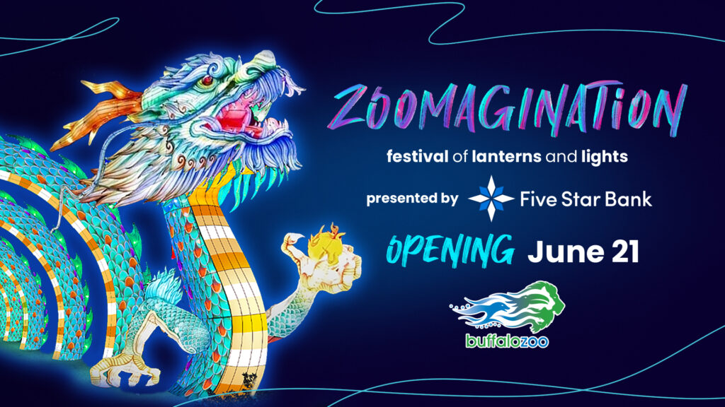 Zoomagination: The Festival of Lanterns and Lights 2024 - Buffalo Zoo